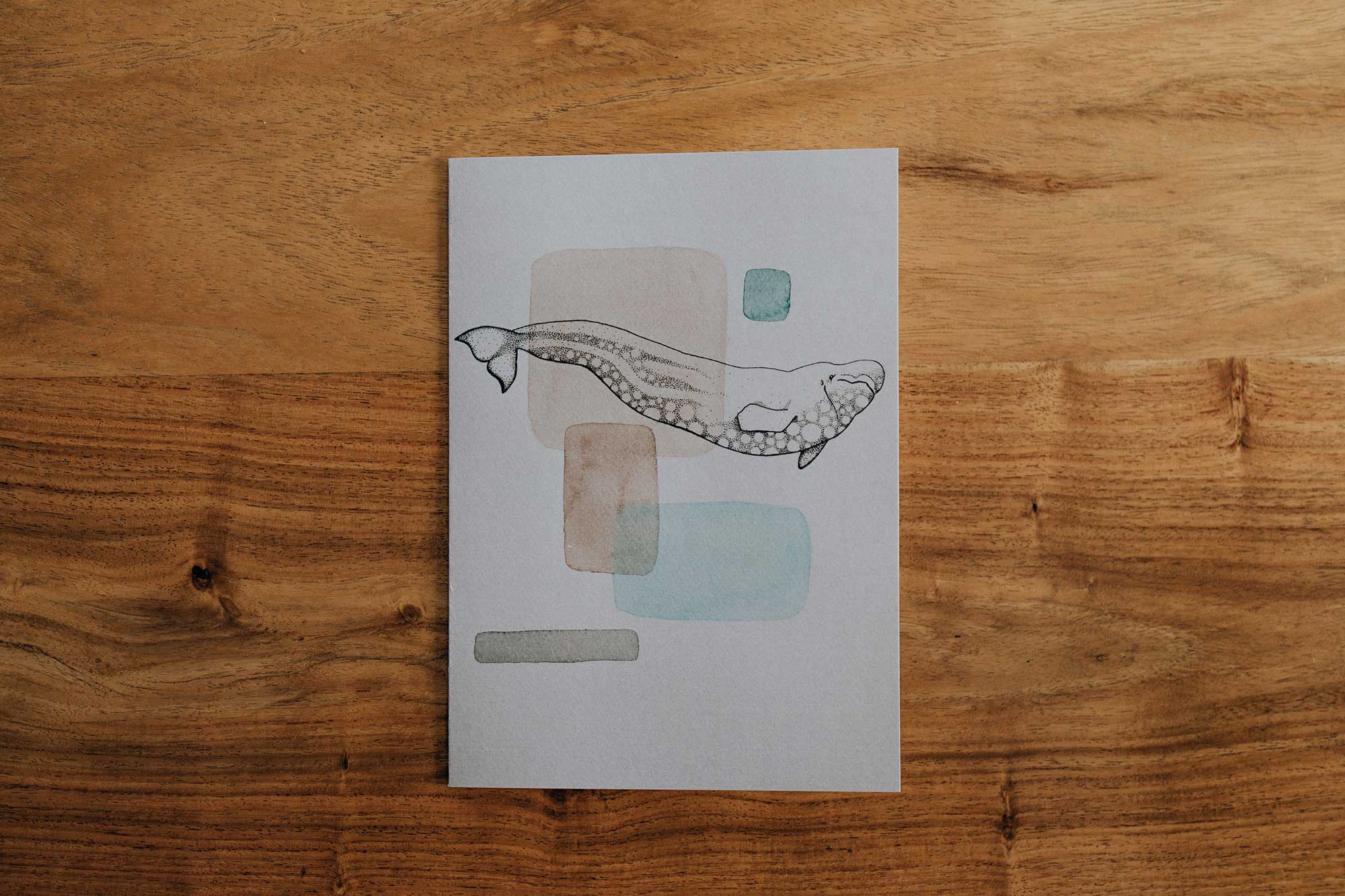 Ensemble Mammifères marins