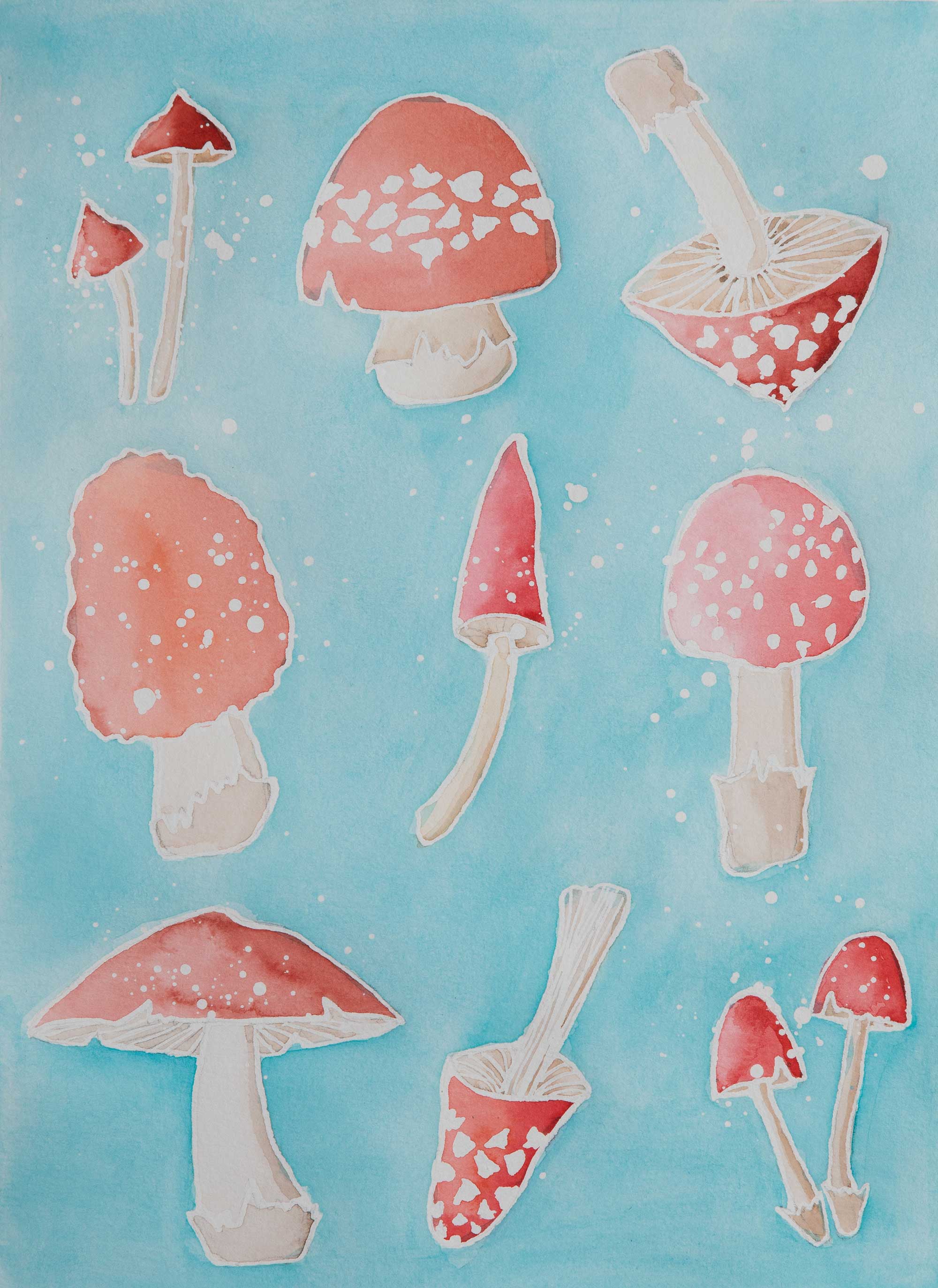 Symphonie de champignons